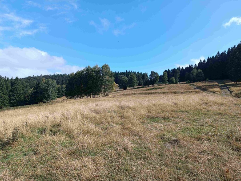 w drodze do Międzygórza