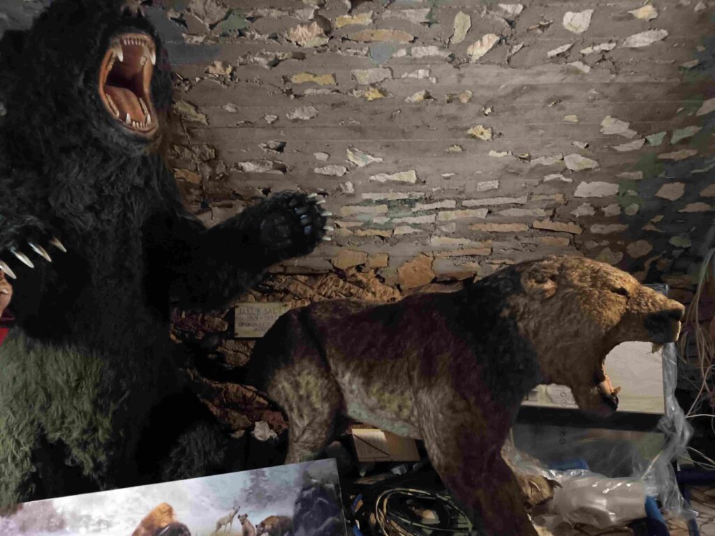 Jaskinia Niedźwiedzia