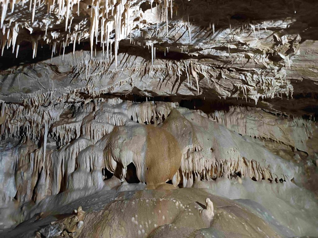 Jaskinia Niedźwiedzia