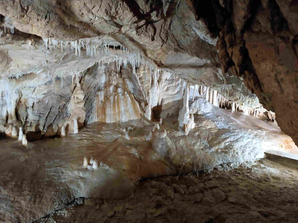 Jaskinia Niedźwiedzia