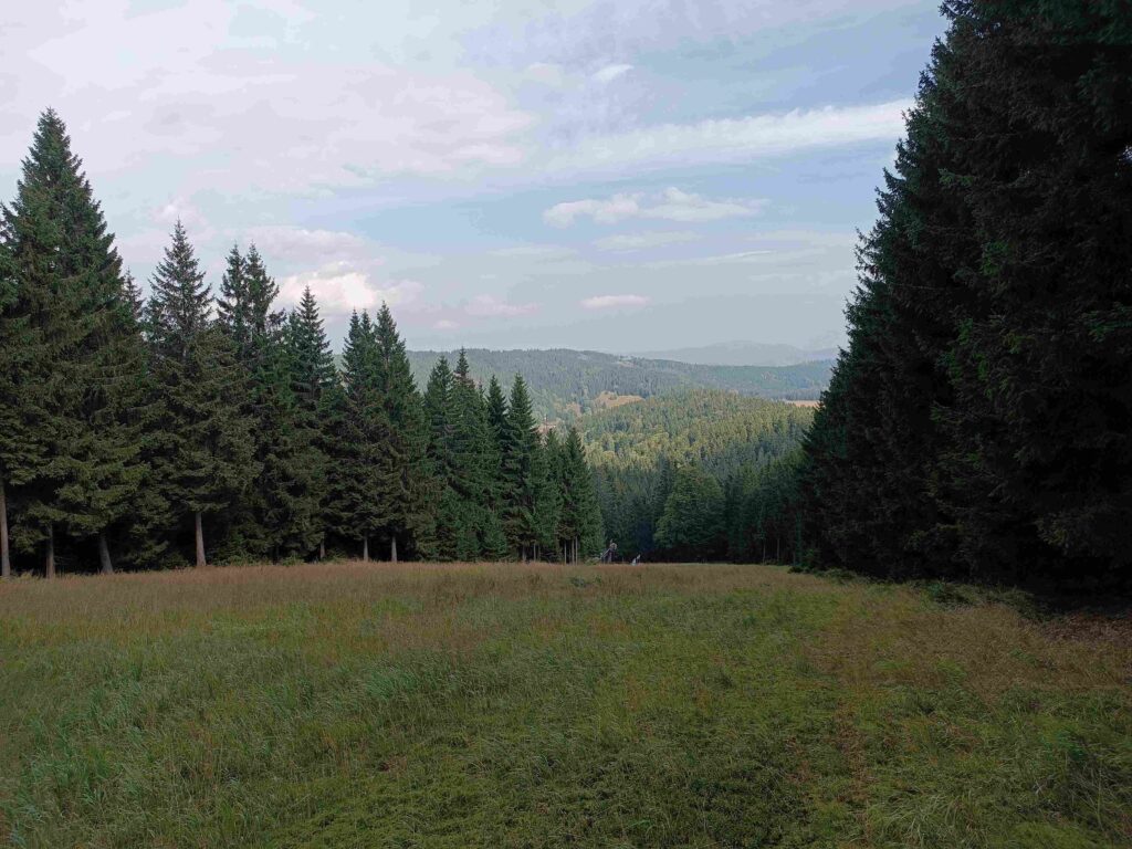 widok na Czarną Górę