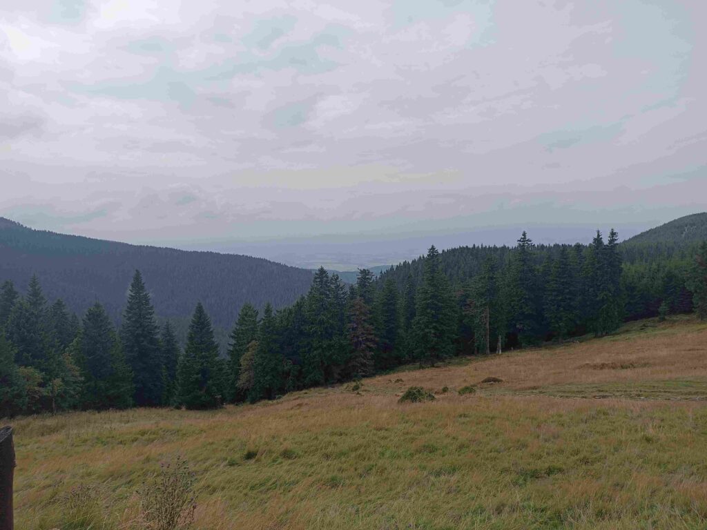 widok spod schroniska